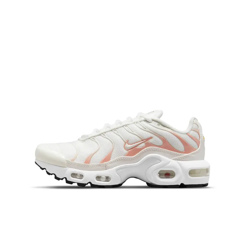 Nike Air Max Plus Summit White Off Noir Metallic Red Bronze (CD0609-105)