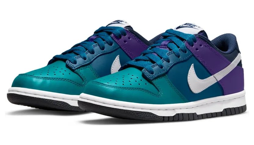 nike-dunk DH9765-300