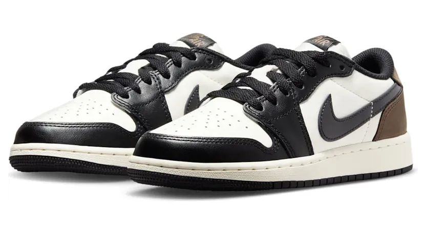 air-jordan-1 CZ0858-102