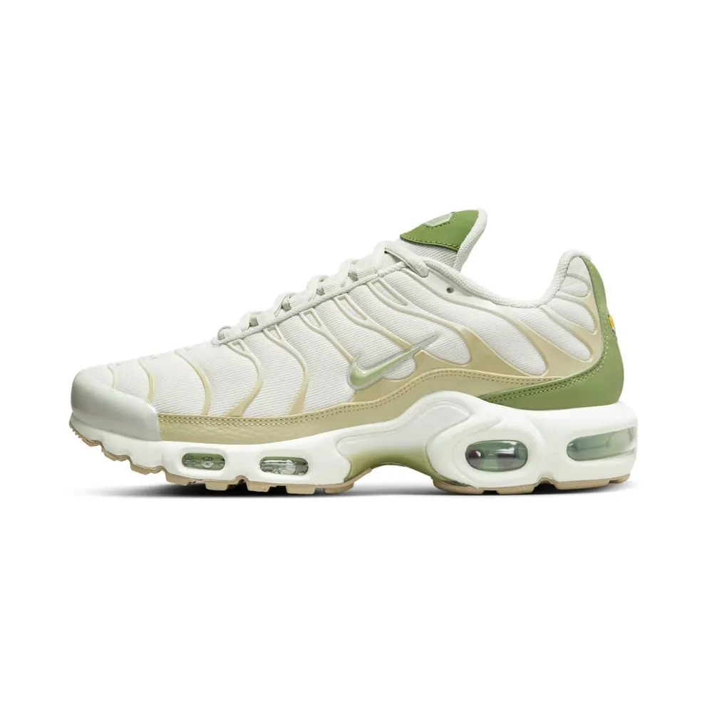 Nike Air Max Plus Grau (DX8954-001)