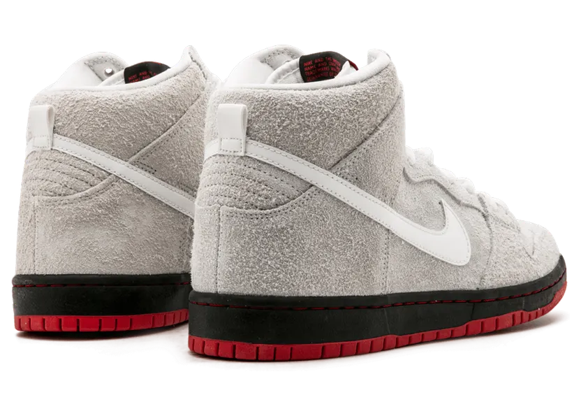 nike-dunk-sb 881758-110