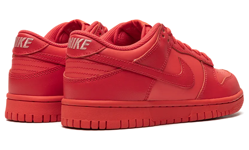 nike-dunk DH9765-601
