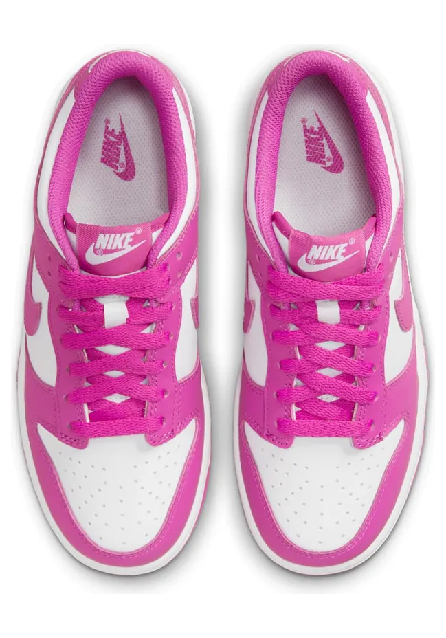 nike-dunk FJ0704-100