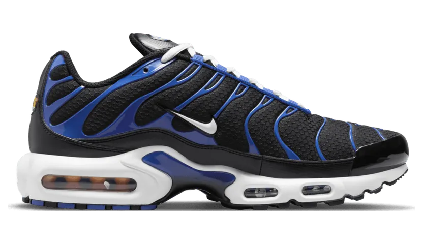 Nike Air Max Plus Zwart (DM8331-001)