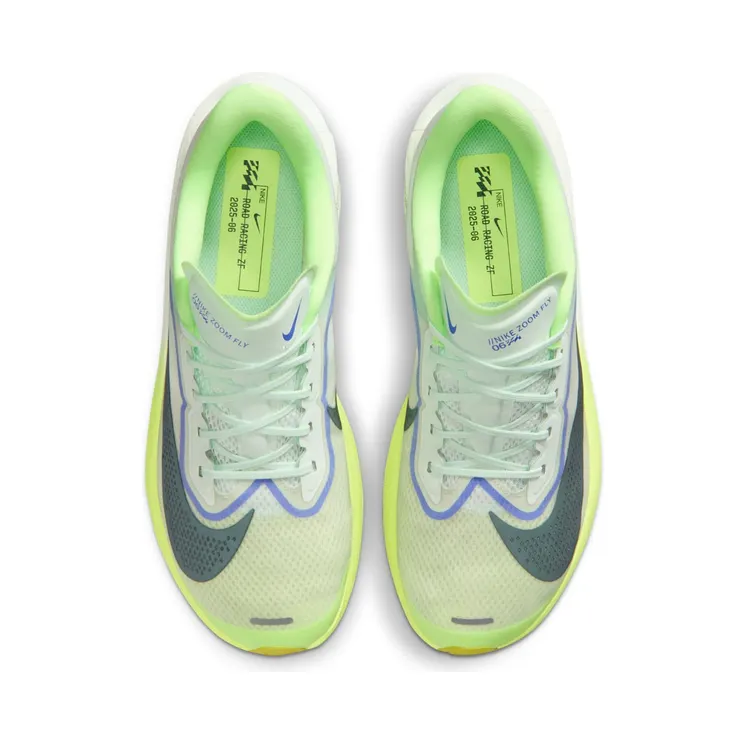 nike-zoom FN8454-300