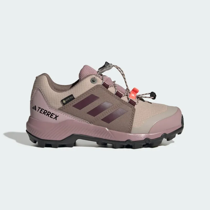 Adidas Terrex GORE-TEX Hiking pink / Maroon / Magic Mauve (KI5837)