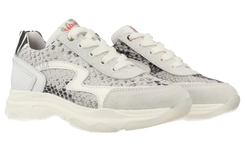11172 | Girls Low Cut Sneaker (11172-192)