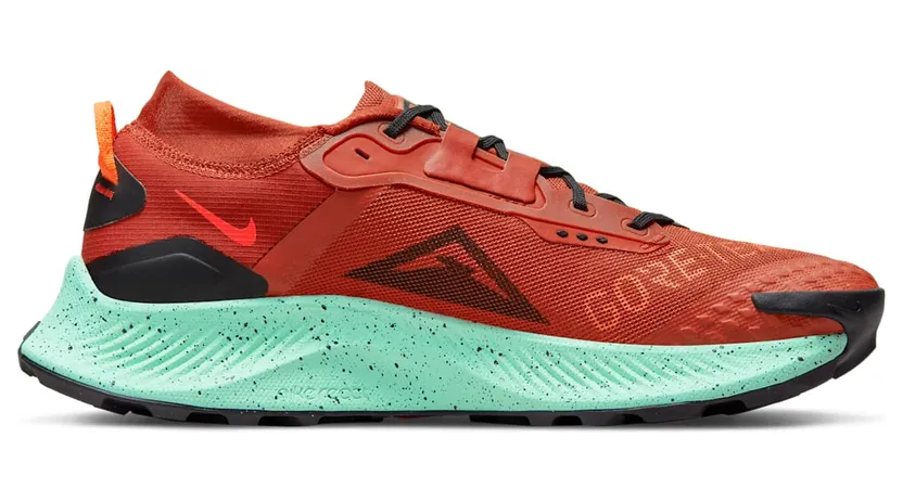 nike-air-pegasus DC8793-800