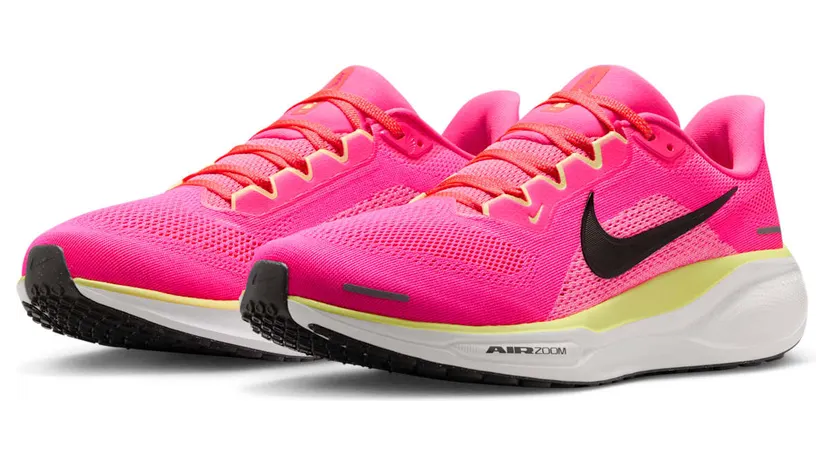nike-air-pegasus HV3128-600