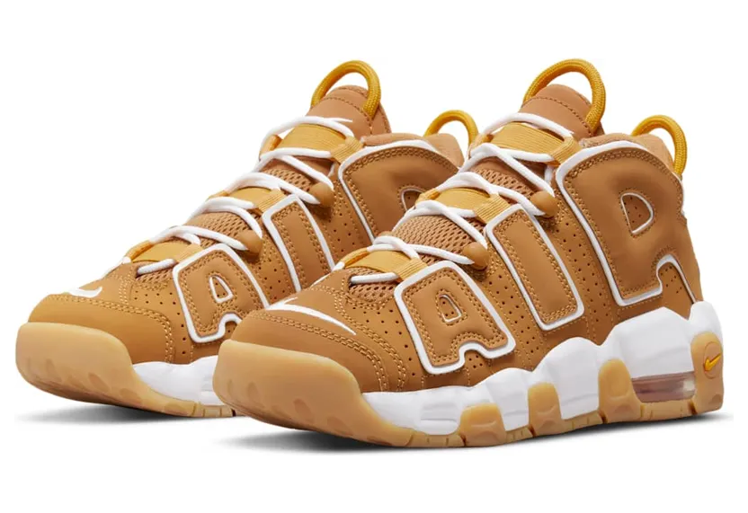 nike-air-more-uptempo DQ4713-700