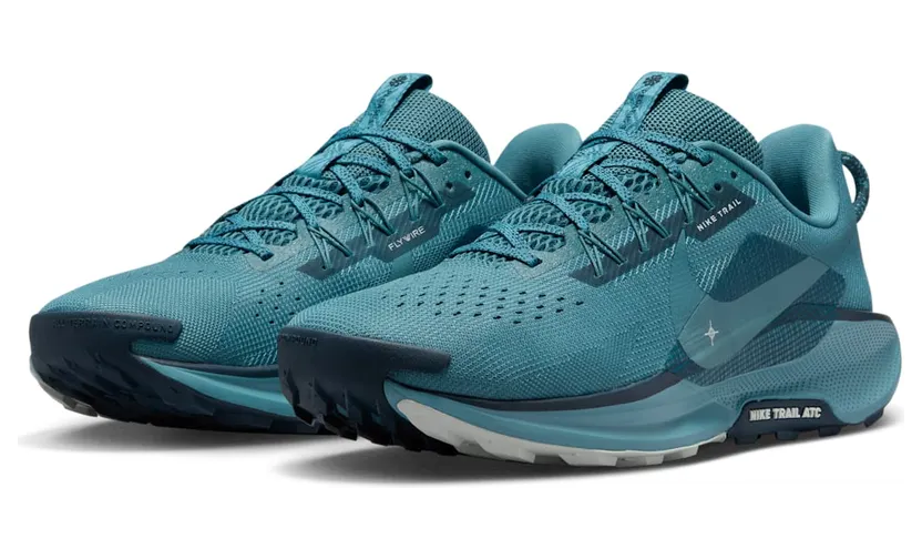 nike-air-pegasus DV3864-005