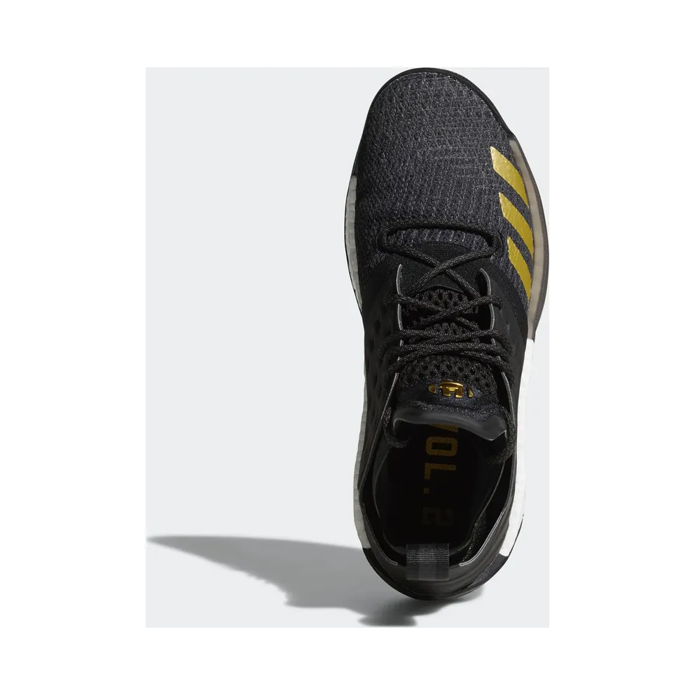 adidas Harden Vol. 2 Imma Be A Star Core Black/Gold Metallic (AH2215)