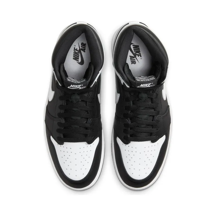 air-jordan-1 DZ5485-010