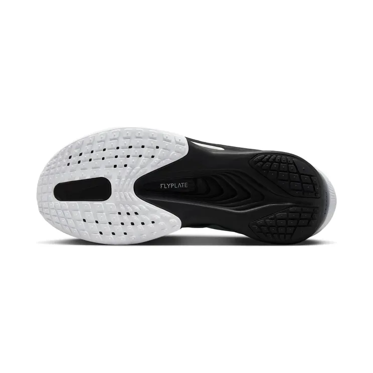 nike-zoom FN8454-100