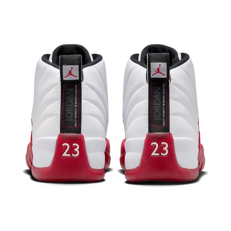 air-jordan-12 CT8013-116