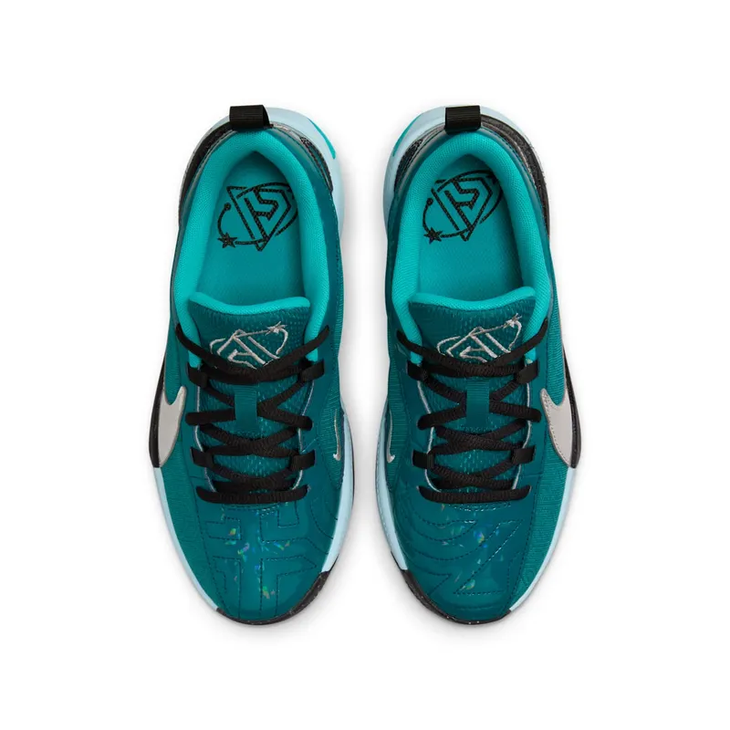 Nike Zoom Freak 5 All-Star (FN1356-300)