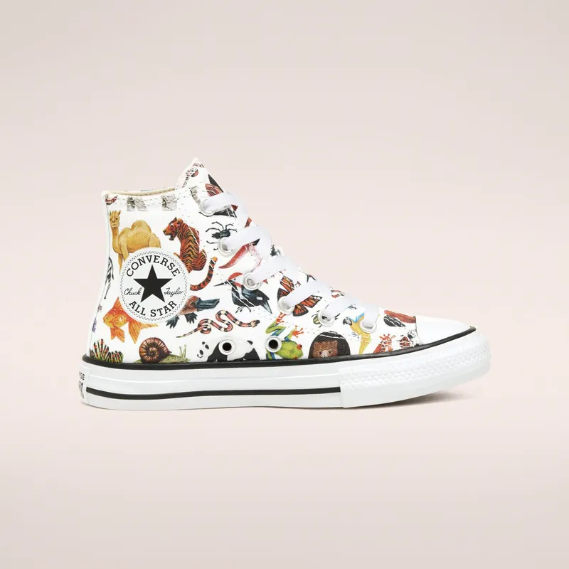 Converse Big Science Class Chuck Taylor All Star High Top (668461C)