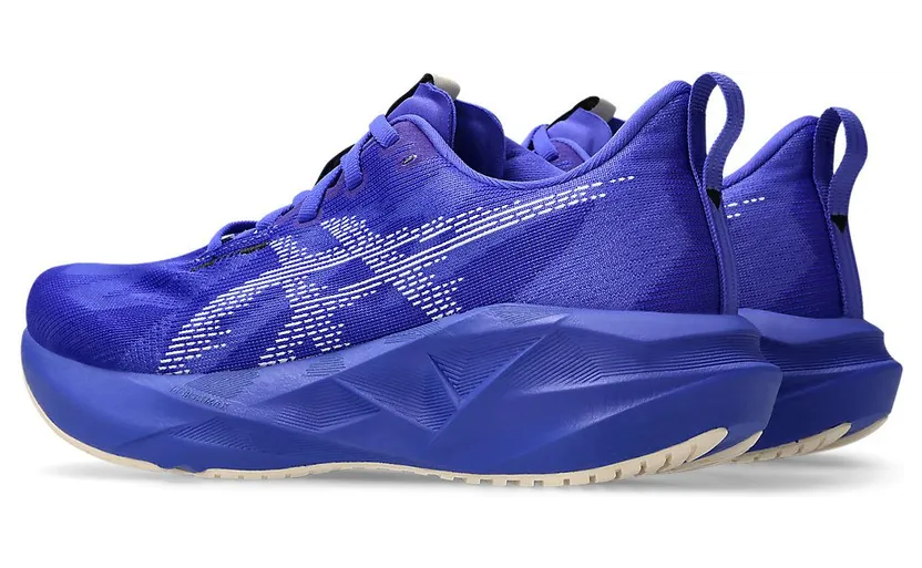 asics-novablast 1012B765-403