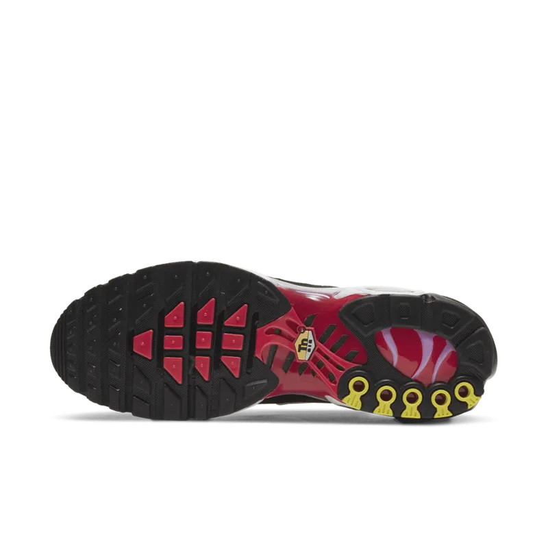 Nike Air Max Plus Sherbert (CZ1651-800)