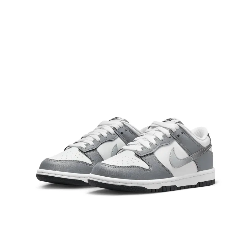 Nike Dunk Low Cool Grey (HM9617-001)