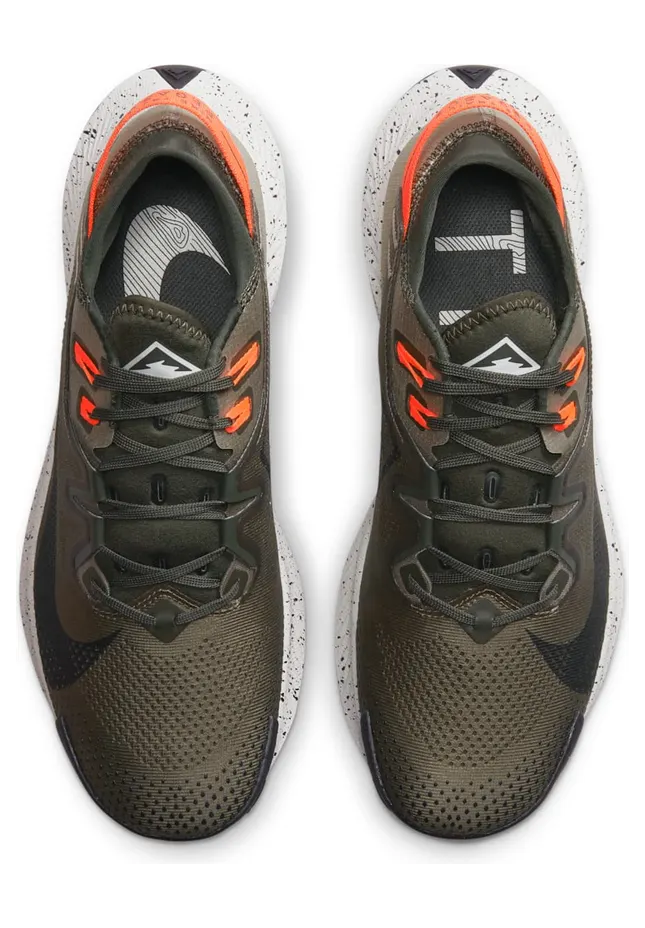 nike-air-pegasus CK4305-301