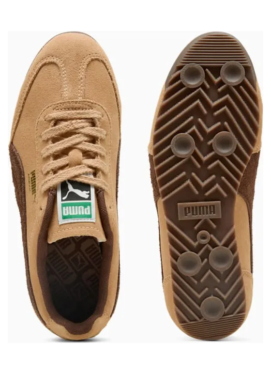 puma-arizona 402362-05