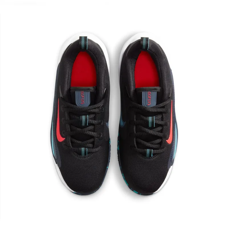 Nike IsoFly Black Dusty Cactus Thunder Blue Bright Crimson (FN4384-004)