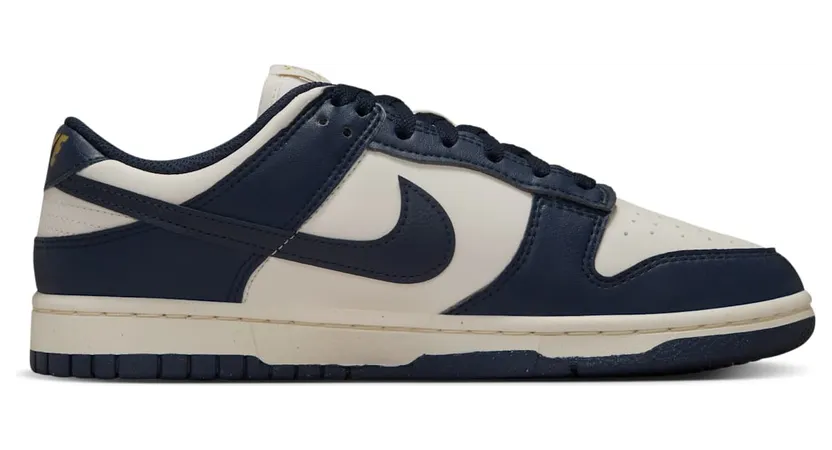 nike-dunk FZ6770-001