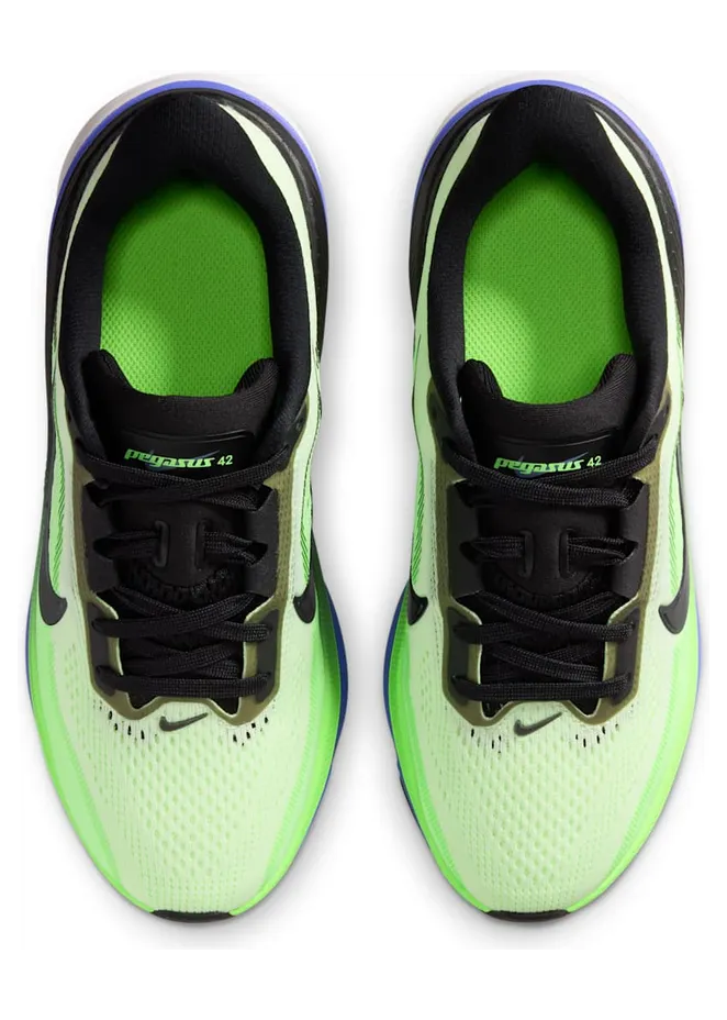 nike-air-pegasus IH2306-700