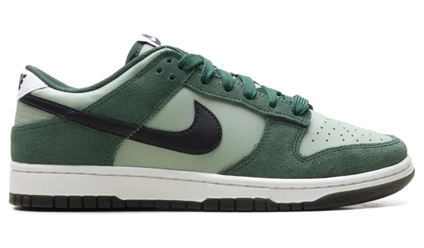 nike-dunk IB6399-301