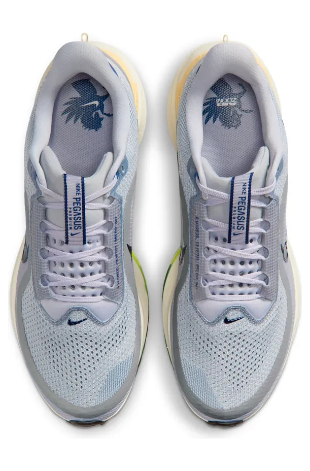 nike-air-pegasus IR1815-012