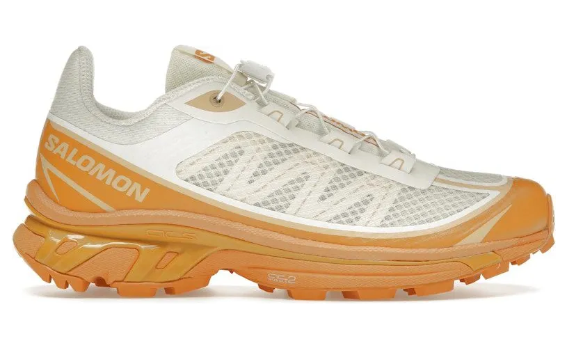 Salomon XT-6 L47151400