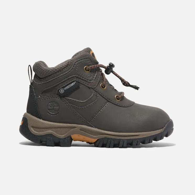 Timberland Mt. Maddsen Waterproof Mid Boot Dark Brown Full Grain (TB0A14IX-242)