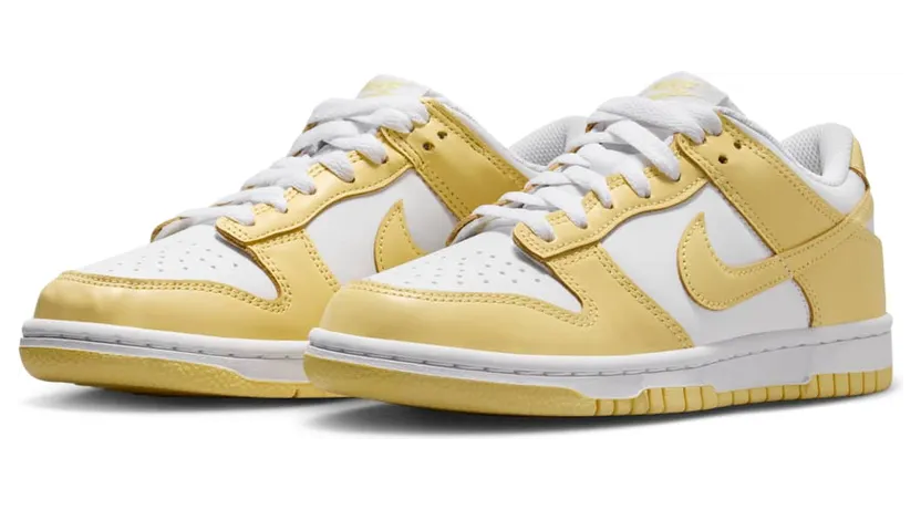 nike-dunk FB9109-126