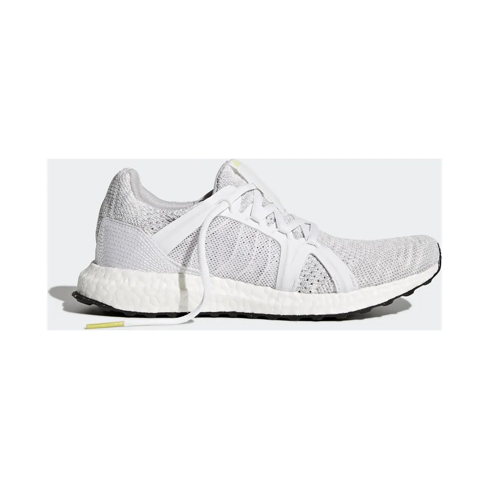 adidas Ultraboost Parley Stella McCartney Stone (W) Stone/Core White/Mirror Blue (DB1958)