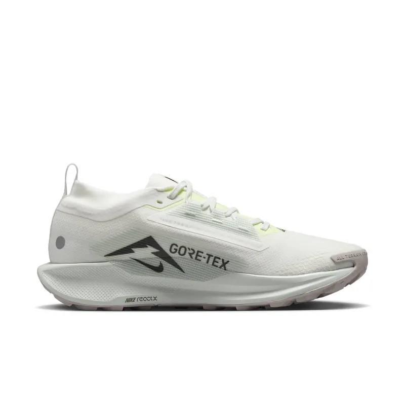 Nike Pegasus Trail 5 Gore-Tex Summit White Light Silver College Grey Sequoia (FQ0908-102)