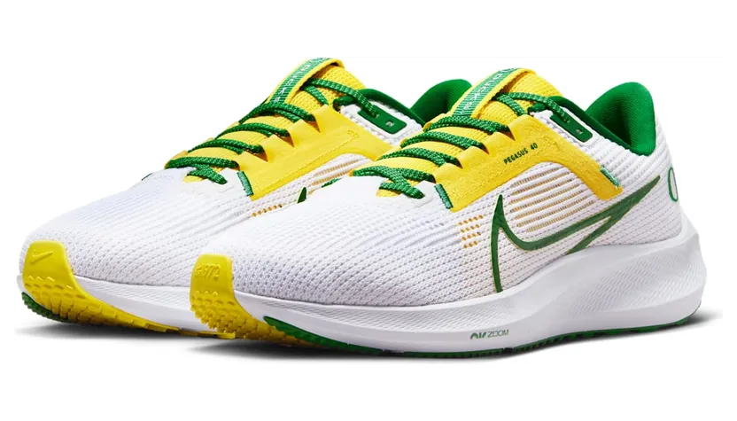 nike-air-pegasus DZ5979-100