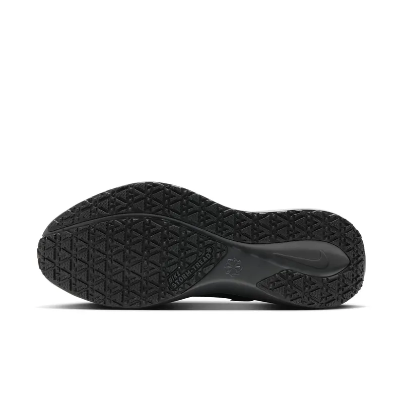 Nike Air Zoom Pegasus 41 GTX “Black Anthracite” (FQ1356-001)