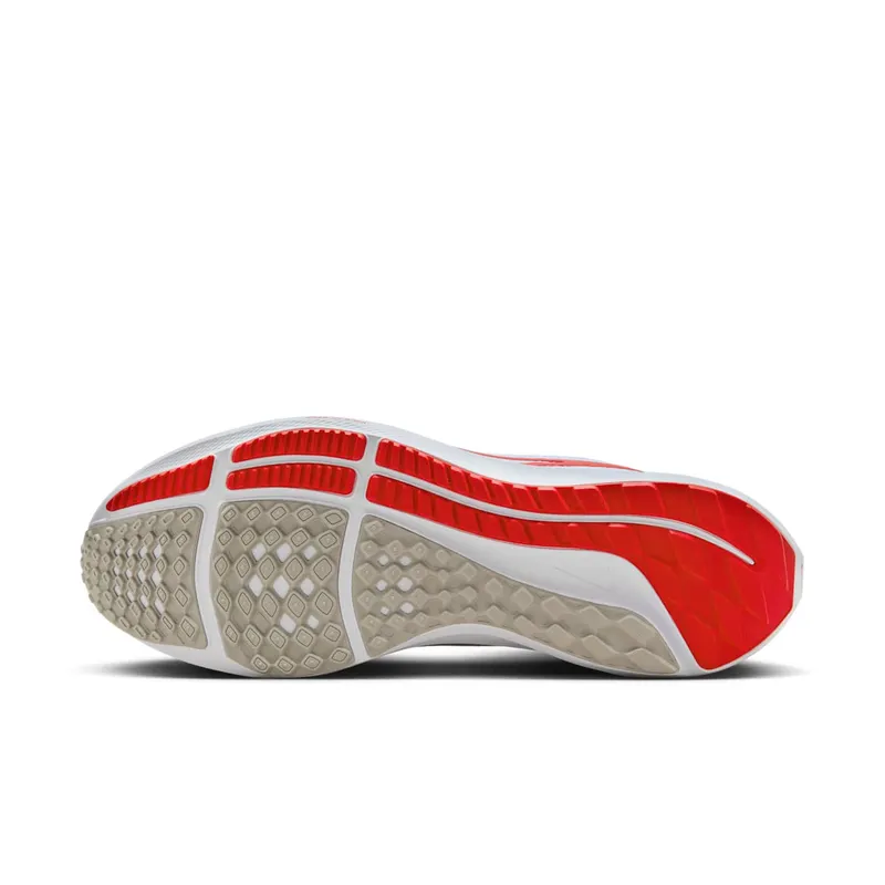 Nike Pegasus 40 Ohio State (DZ5969-100)