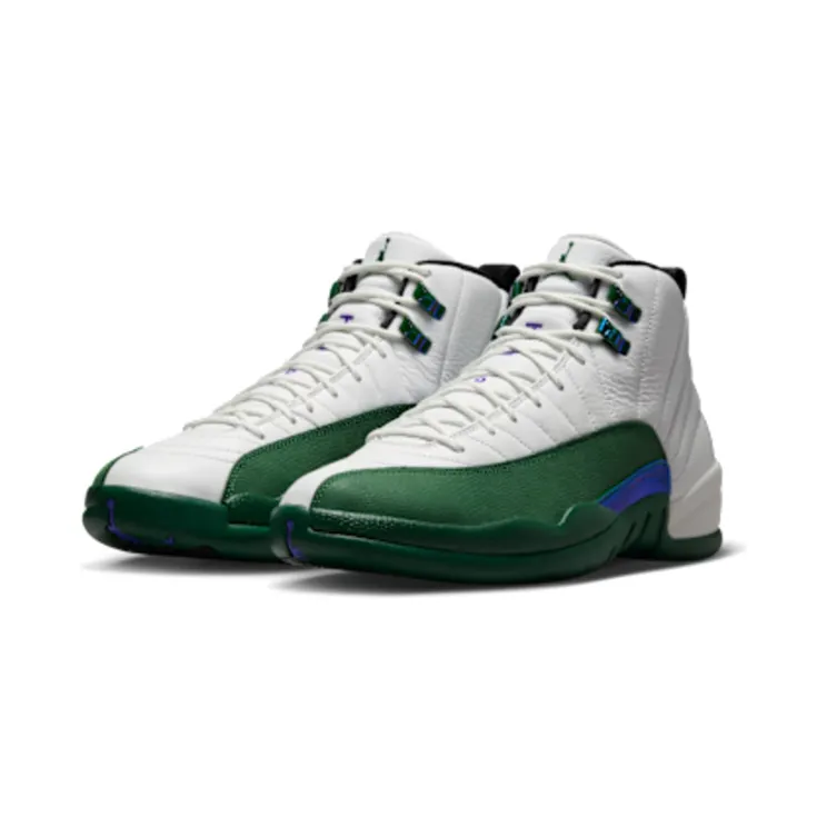 air-jordan-12 CT8013-103