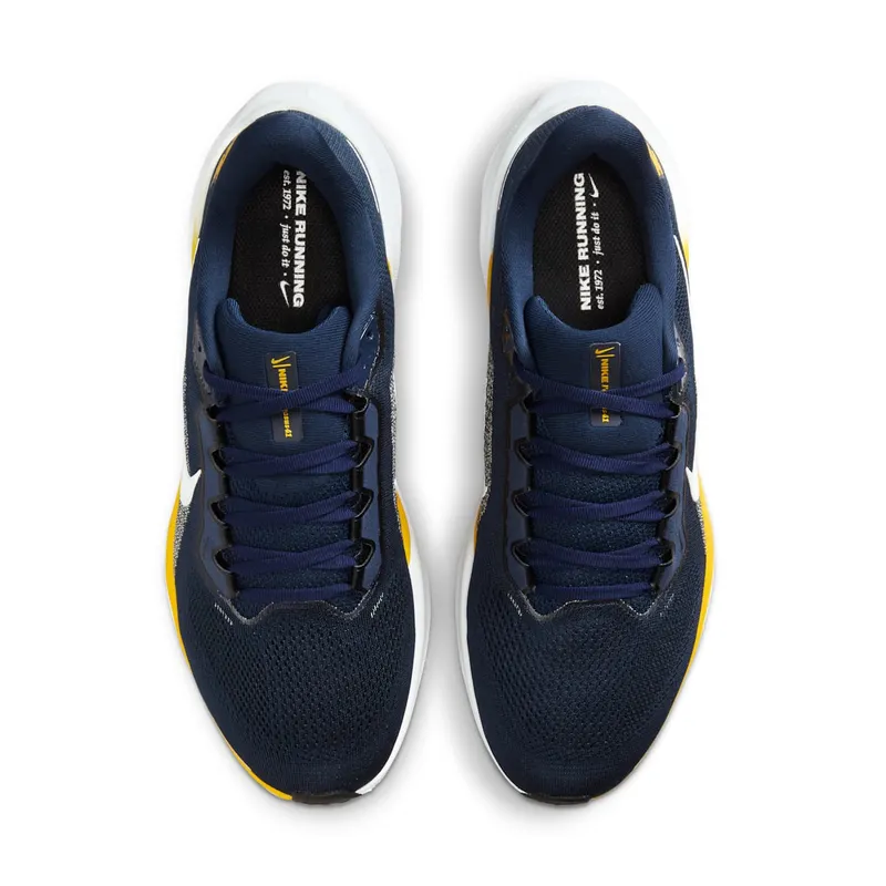 Nike Air Zoom Pegasus 41 Michigan Wolverines (IB3269-400)
