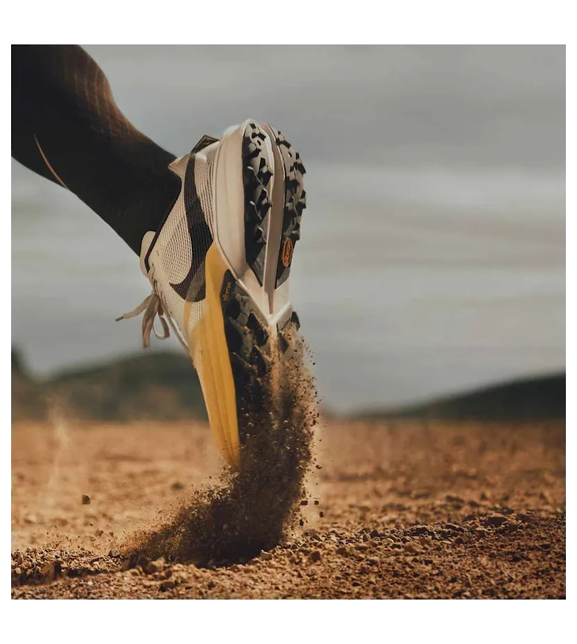 nike-air-zoom FV3929-011