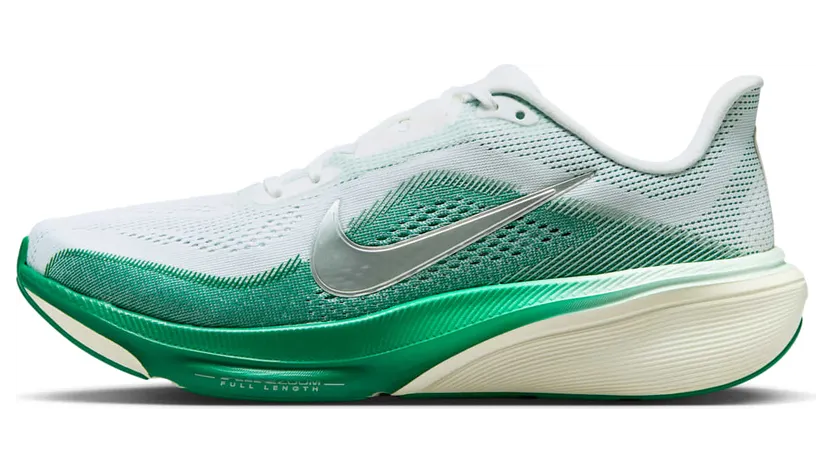 Nike Pegasus White/Malachite/Barely Green/Metallic Silver (IB1881-100)