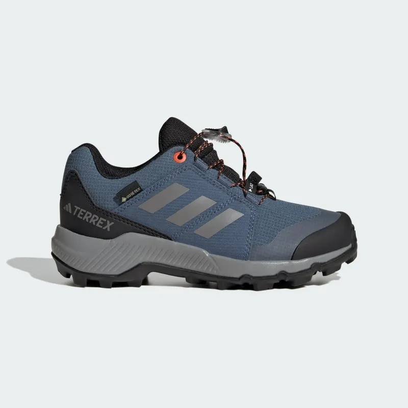 Adidas Terrex GORE-TEX Hiking Wonder Steel / Grey Three / Semi Impact Orange (JI1358)