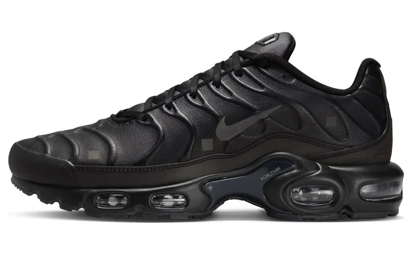 Nike Air Max Plus x A-COLD-WALL* Black/Light Iron Ore/Obsidian/Off-Noir (FD7855-001)