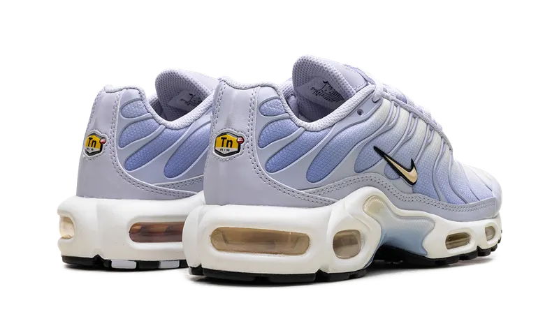 Nike Air Max Plus “Daybreak” (DZ3670-004)
