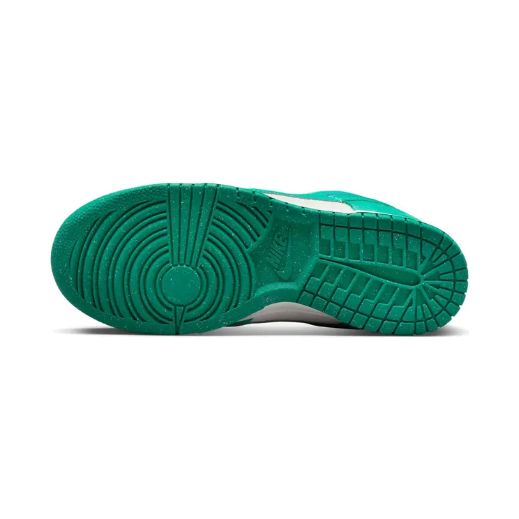 nike-dunk DO9457-101