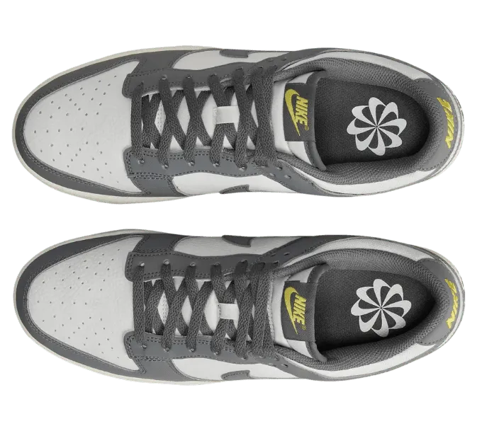 nike-dunk FZ4621-001