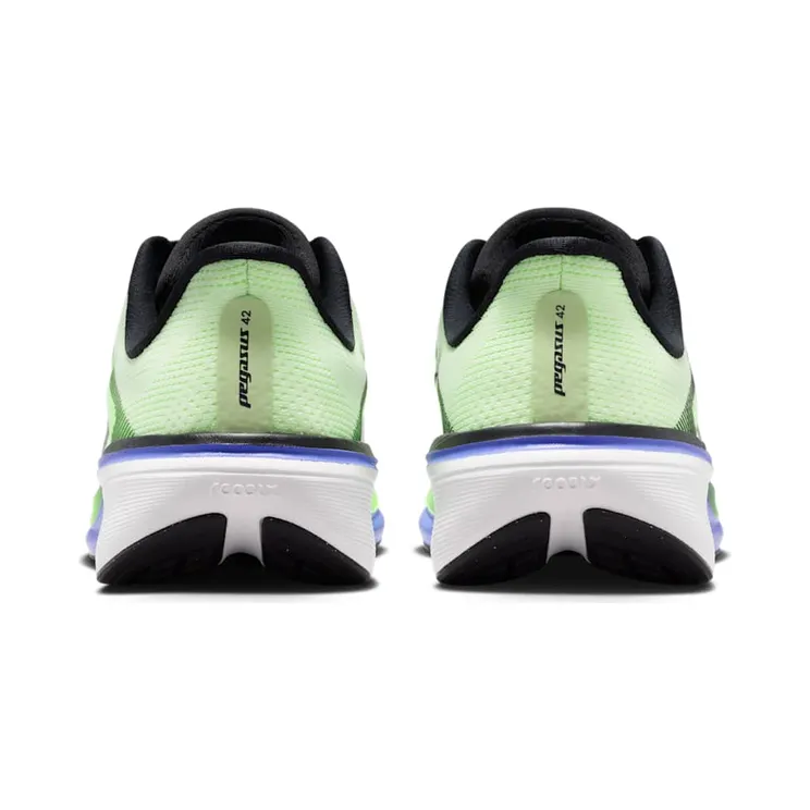 nike-air-pegasus IH2306-700