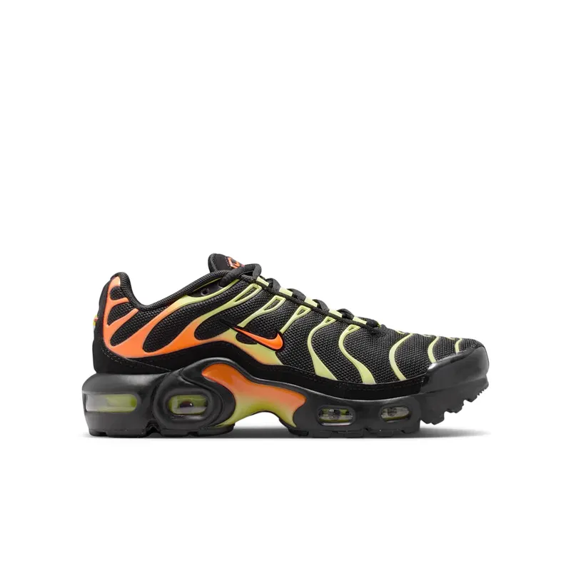Nike Air Max Plus Black (CD0609-040)